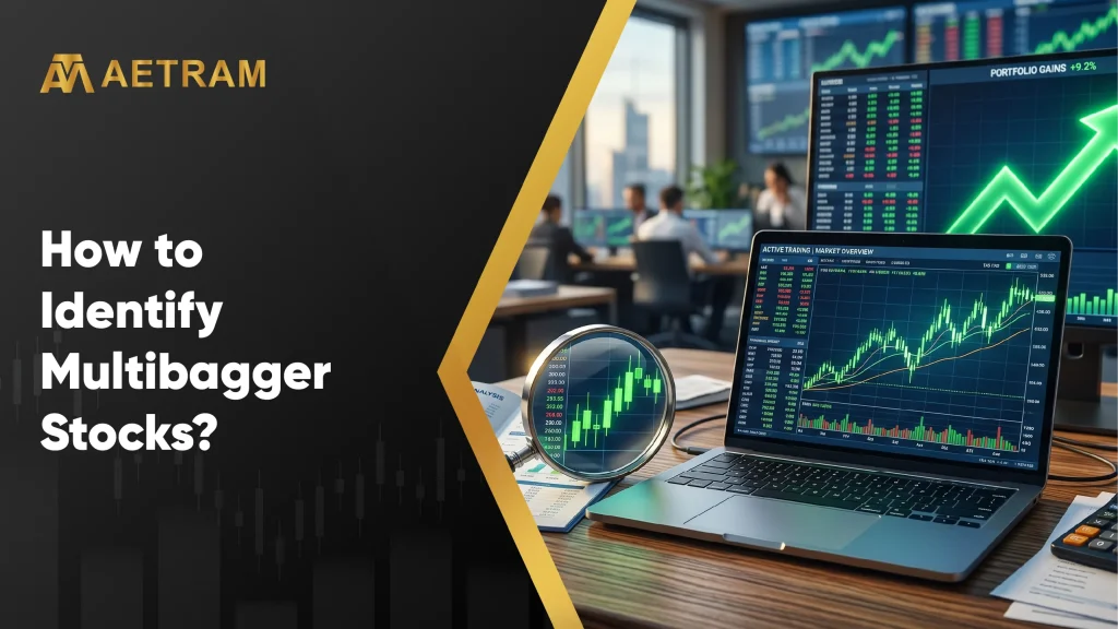 How to Identify Multibagger Stocks?