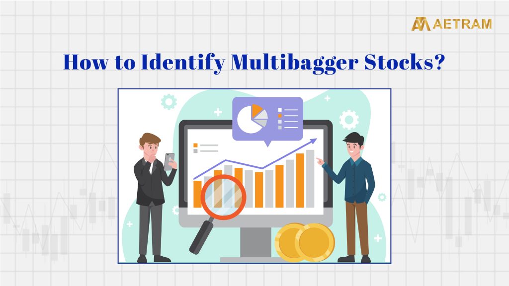 How to Identify Multibagger Stocks?